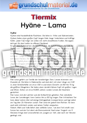 Hyäne - Lama.pdf